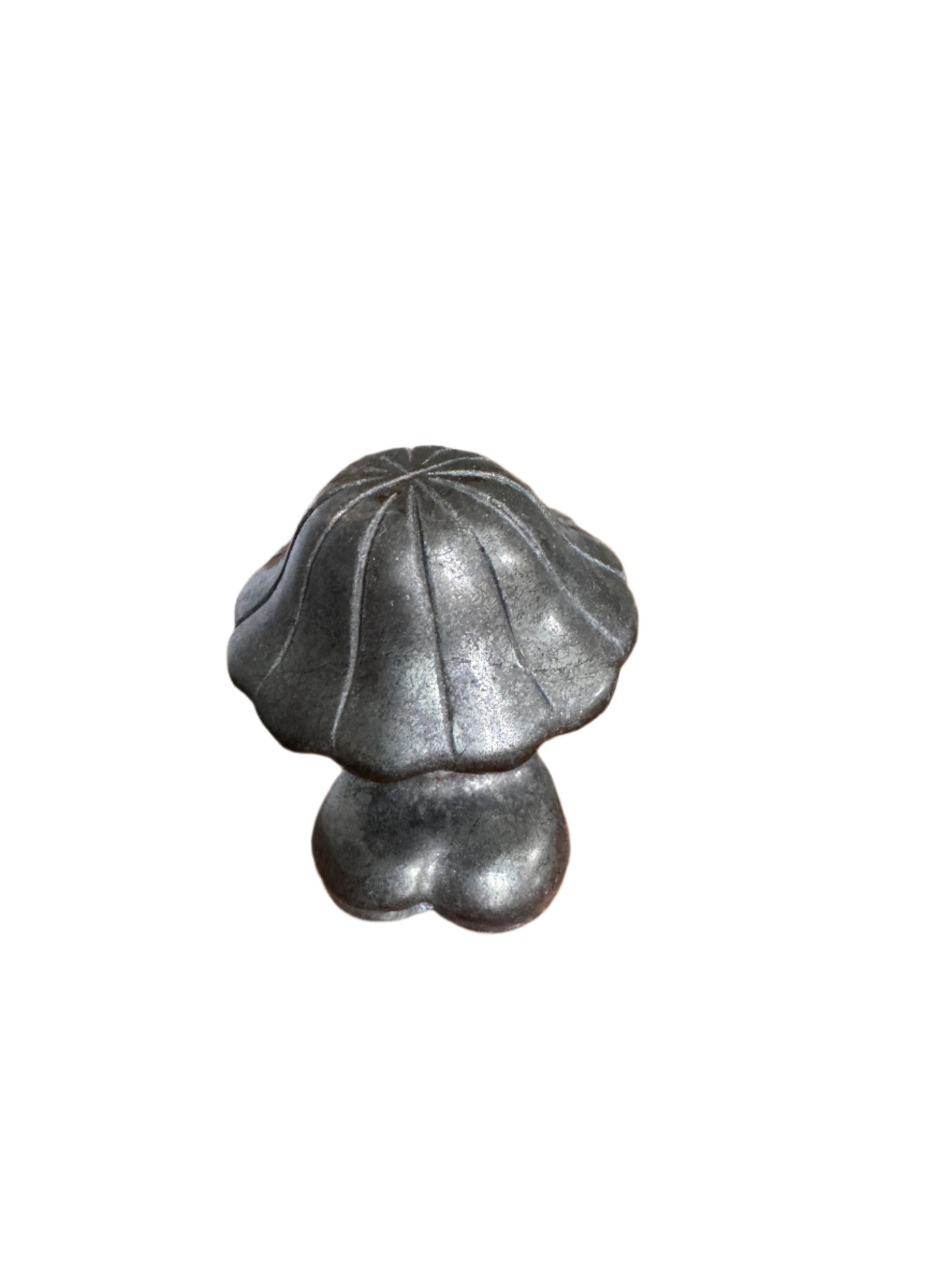 Small Pyrite Lady Mushroom