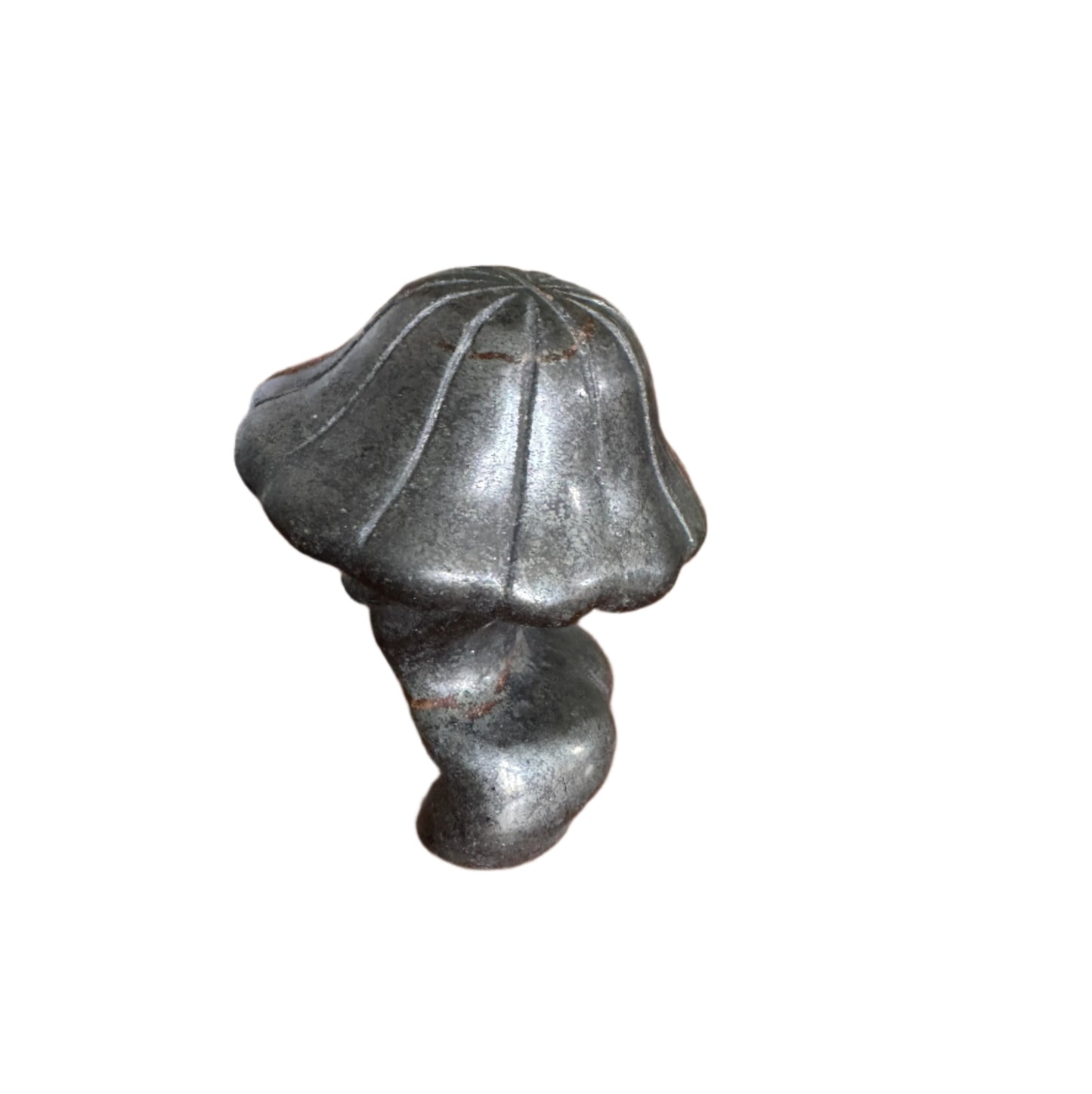 Small Pyrite Lady Mushroom