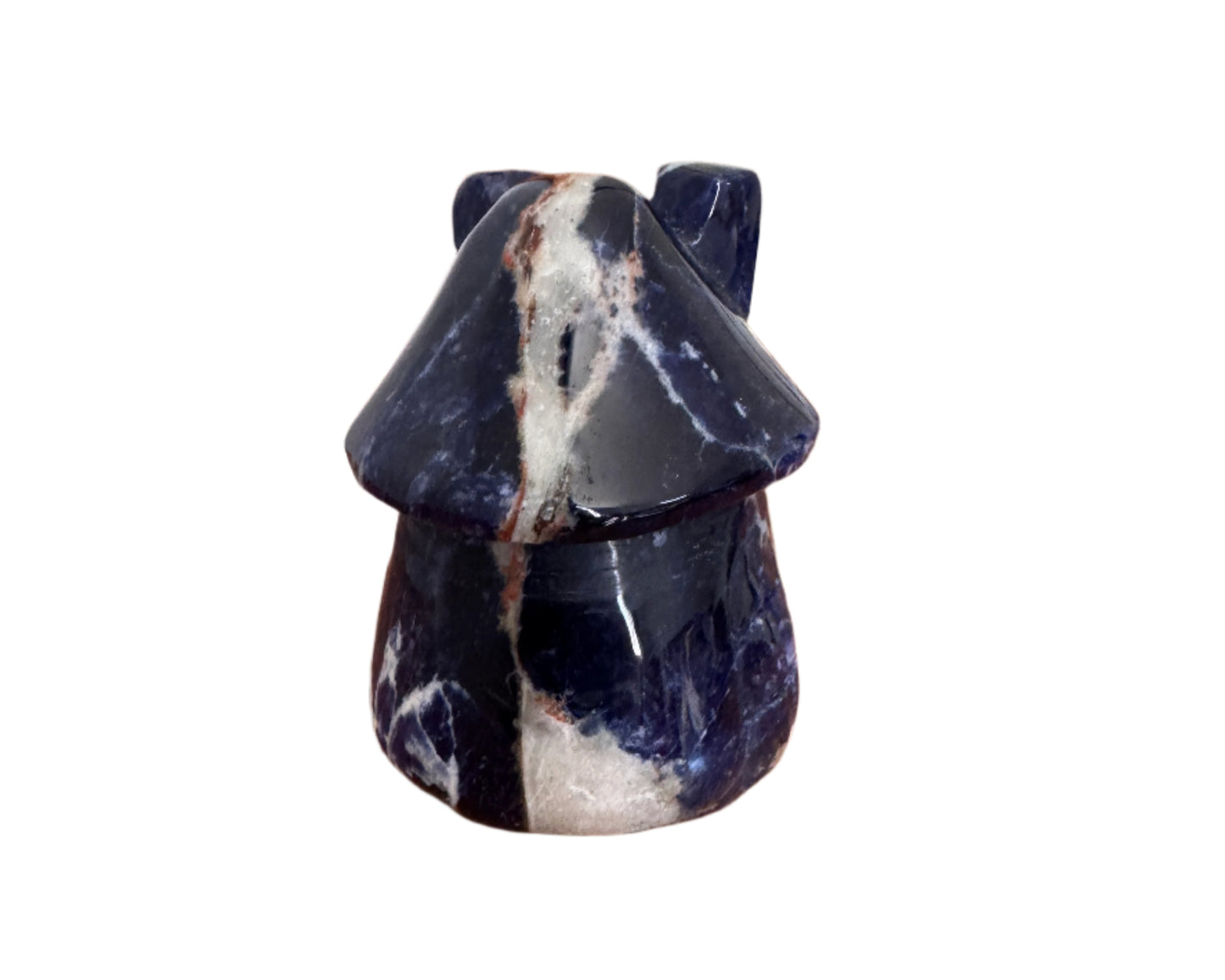 Sodalite Mushroom House