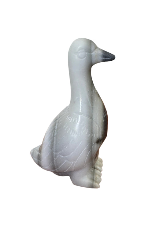 Tajii Jade Duck